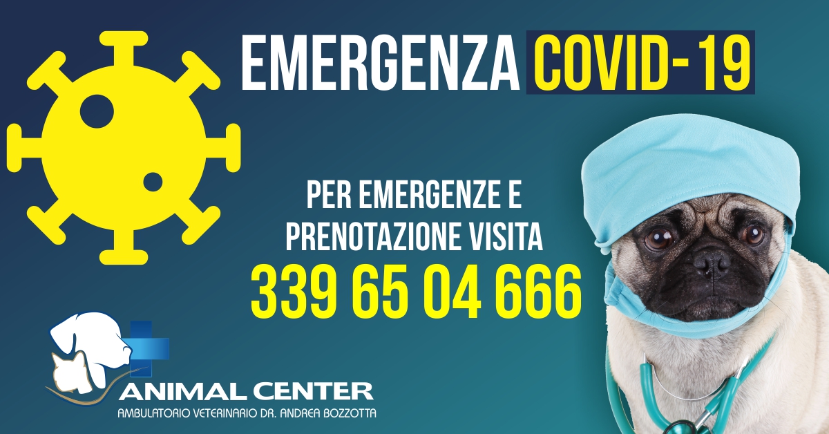 Emergenza coronavirus, nuova apertura AMBULATORIO VETERINARIO